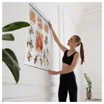 Wall chart - hip and hip joint - , LxW 100x70 cm