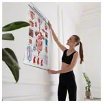 Wall chart - digestive organs - , LxW 100x70 cm