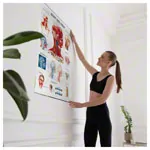 Wall chart - Head & Neck, - LxW 100x70 cm
