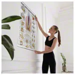 Wall chart - teeth and jaw joint, - LxW 100x70 cm