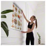 Wall chart - The skull - muscle insertions and origins - , LxW 100x70 cm