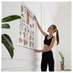 Wall chart - The knee joint - L x 100x70 cm