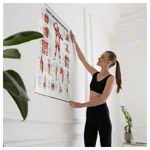Wall chart - Deep muscle layers-breast - , LxW 100x70 cm