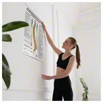 Posters - Spinal therapy Dorn - L x W 70x50 cm