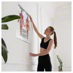 Posters - connective tissue massage - L x W 70x50 cm