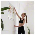 Poster - The human skeleton - L x W 70x50 cm