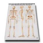 Mini Poster Set, 20 pieces