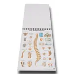 Mini Poster Set, 20 pieces