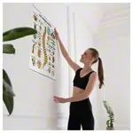 Poster - spinal column - L x W 70x50 cm