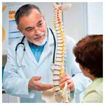 Image shows Spine incl. stand, 85 cm