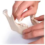 Image shows Snap skull, 18-piece, white