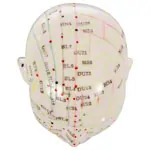 Acupuncture model head, 20 cm