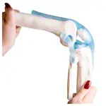Knee joint, LxWxH 13x13x40 cm