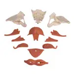 Female pelvis with pelvic floor muscles