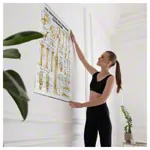 Wall chart - The bones of the upper limb, - LxW 100x70 cm