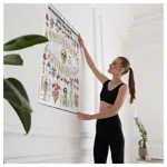 Wall chart - relationships between teeth and organs, - LxW 100x70 cm