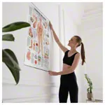 Wall chart - Diabetes Mellitus -, LxW 100x70 cm