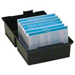 Flashcards skeletal system in the card box, 303 cards
