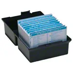 Flashcards muscular system in the card box, 300 cards