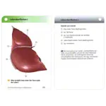 PROMETHEUS Anatomy flashcards, 483cards