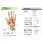 PROMETHEUS Anatomy Flashcards about musculoskeletal system, 400 cards