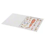 Mini poster booklet - Human anatomy - , LxW 34x24 cm, 12 posters