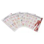 Mini poster booklet - human muscles - , LxW 34x24 cm, 12 posters