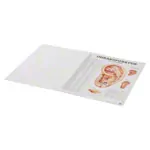 Mini poster booklet - Acupuncture of humans - , LxW 34x24 cm, 12 posters