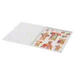 Mini poster booklet - Human physiotherapy - , LxW 34x24 cm, 12 posters
