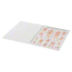 Mini poster booklet - naturopathy of humans - , LxW 34x24 cm, 12 posters