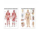 Teaching board set: 6 teaching boards, LxW 100x70 cm