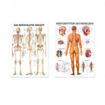 Teaching board set: 6 teaching boards, LxW 100x70 cm