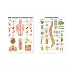 Teaching board set: 6 teaching boards, LxW 100x70 cm