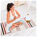 Ultrasonic Humidifier Aroma Diffuser AL-1300WS