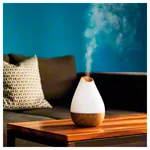 Ultrasonic Humidifier Aroma Diffuser AL-1300WS