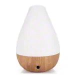 Ultrasonic Humidifier Aroma Diffuser AL-1300WS
