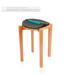 Alonea Pelvic Tool Home with wooden gymnastics chair