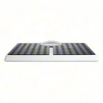 seca bathroom scale Robusta 813