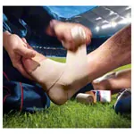 Elastoplast Optiplast C, 2.5 m x 6 cm