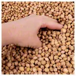 Image shows ManuTherm filling cherry stones for ManuThermBox, approx. 15 liters