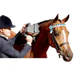 Thumper professional horse massager Equine Pro