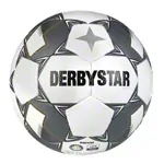Derbystar soccer ball Brillant TT v24, white/silver, size 5