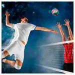 Molten Volleyball Top match ball V5M5000-EN, size 5