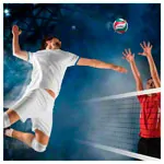 Molten volleyball training ball V5M1500, size 5