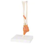 Elbow joint, LxWxH 13x13x37 cm