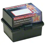Flashcards muscular system in the card box, 300 cards