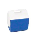 Icebox small, 6,6 l