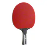 JOOLA table tennis bat CARBON X PRO