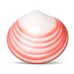 Product image: LavaShell Porcelain Massage Shell