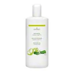 Massage Oil Ginkgo Lime, 1 l